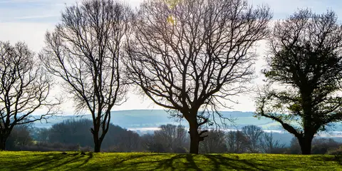 An image depicting the trail 1066 Country Walk - Bexhill Link and its surrounding area.