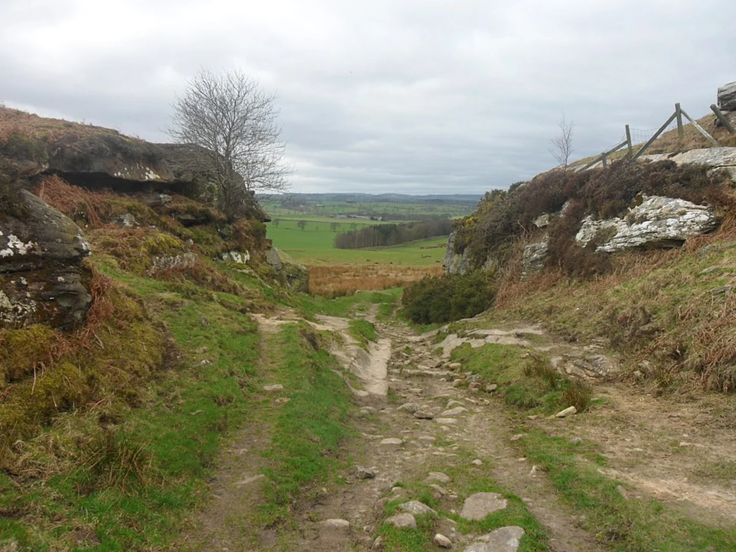 An image depicting the trail Shaftoe Crags and Salters Nick Loop and its surrounding area.
