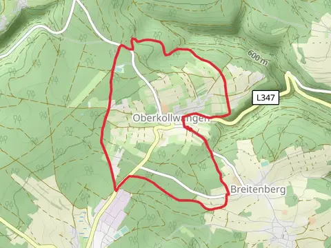 Talblick Gelb Loop
