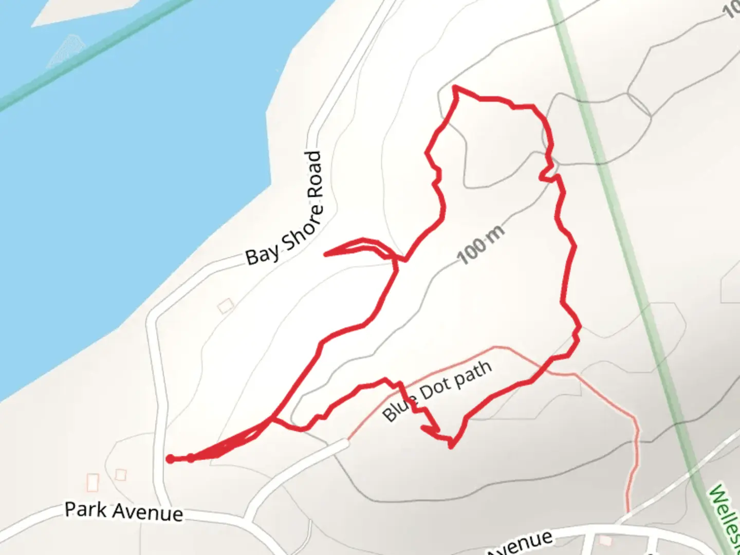 An image depicting the trail South Bay Loop from Bay Shore Road and its surrounding area.