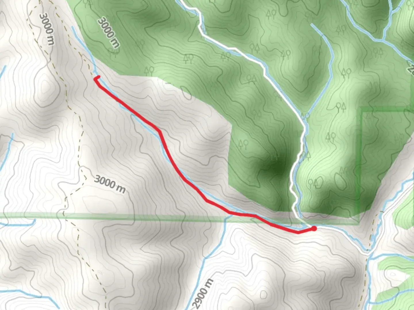 An image depicting the trail Hopkins Gulch Trail and its surrounding area.