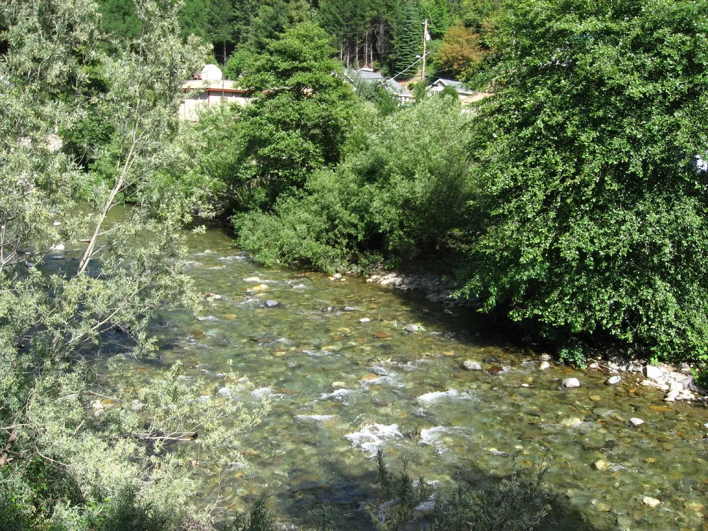 An image depicting the trail Canyon Creek Trail and its surrounding area.