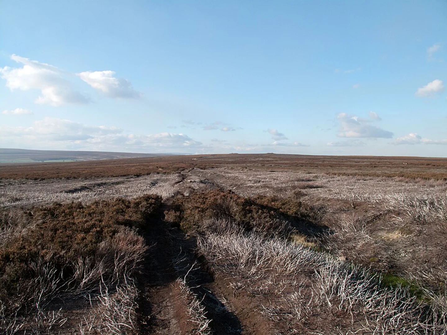 An image depicting the trail Newton Dale to Goathland via The inn Way and its surrounding area.