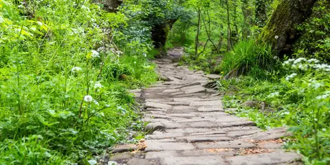 An image depicting the trail Rivelin Valley from Malin Bridge and its surrounding area.