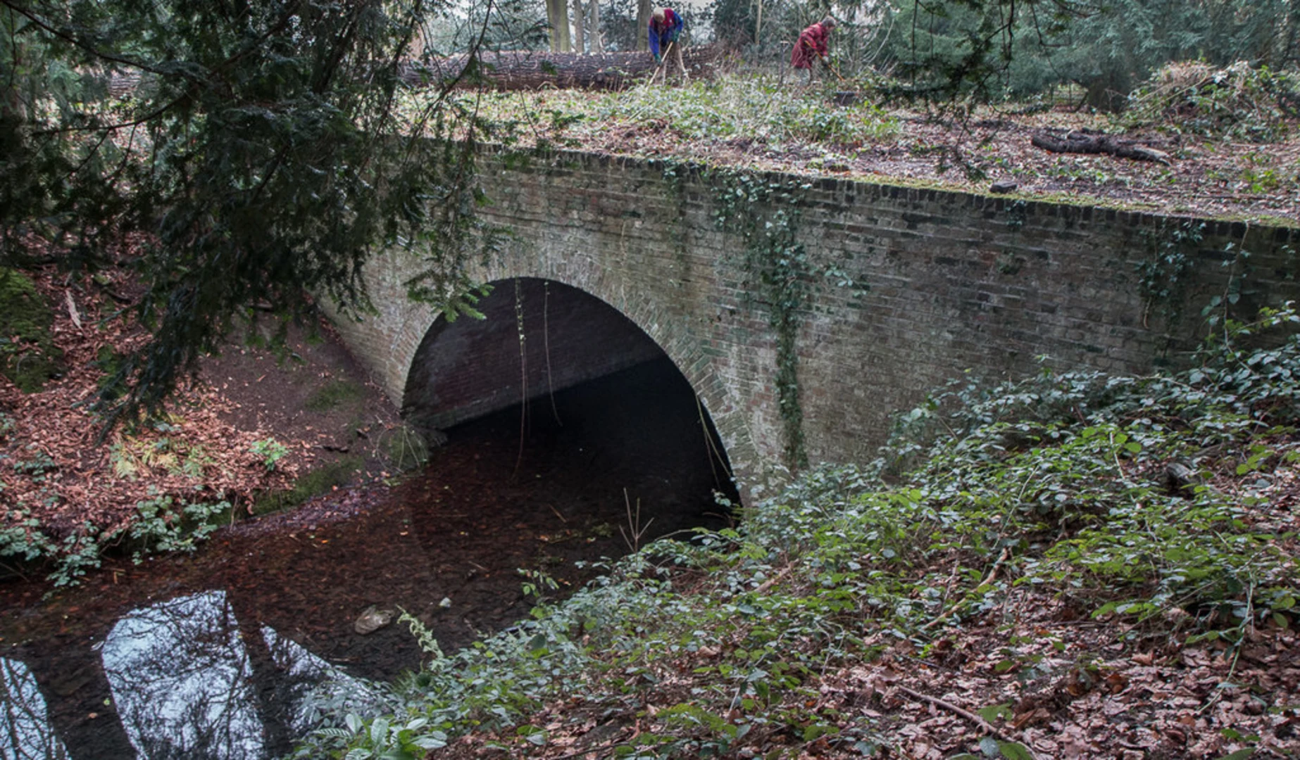 An image depicting the trail Middle Lake and Jubilee Meadow and Blackberry Corner and its surrounding area.