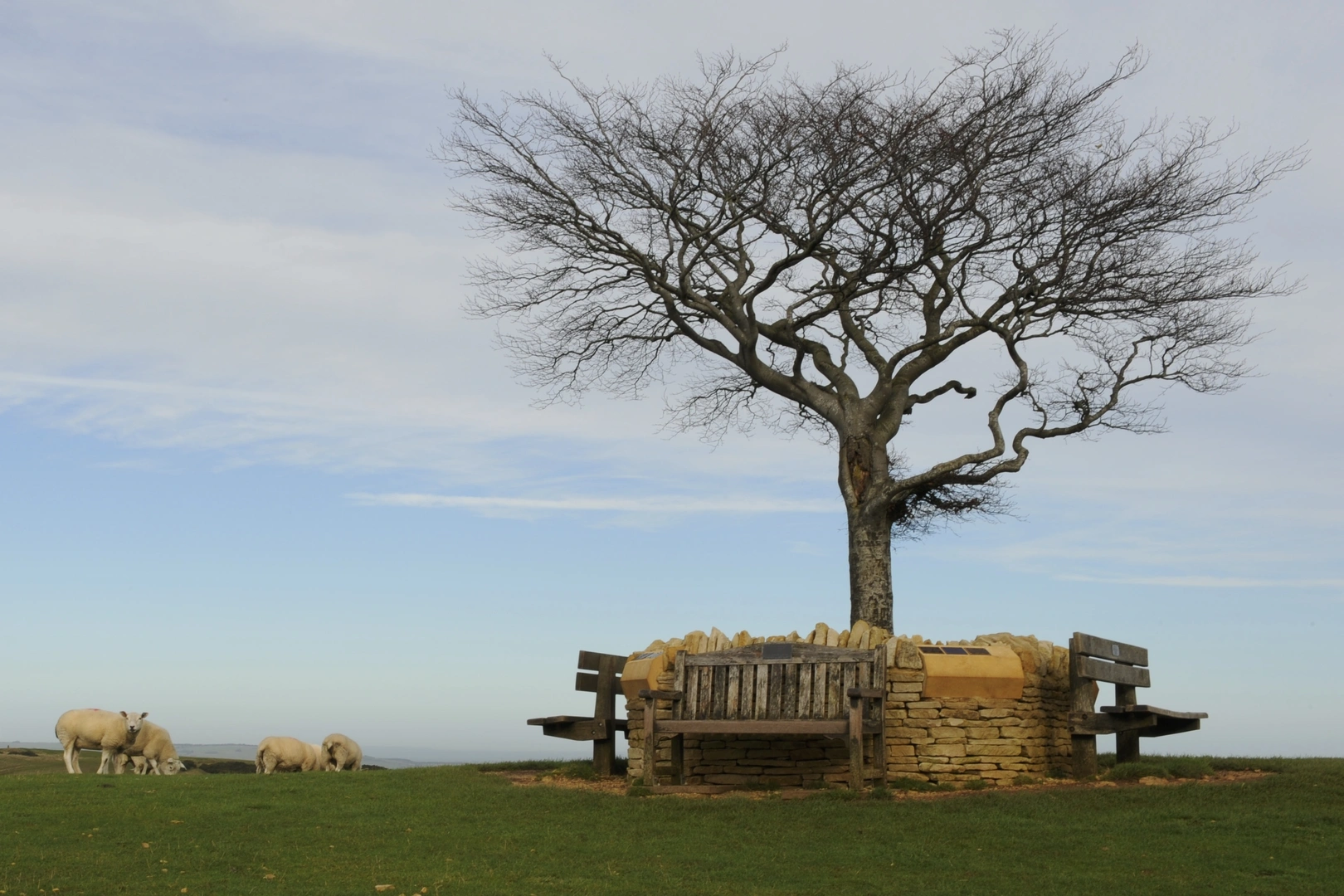 An image depicting the trail Cotswolds Walk and its surrounding area.