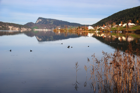 An image depicting the trail Tour du Lac de Joux and its surrounding area.