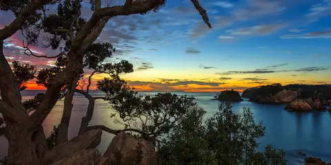 An image depicting the trail Te Pare Point Historic Reserve Trail and its surrounding area.