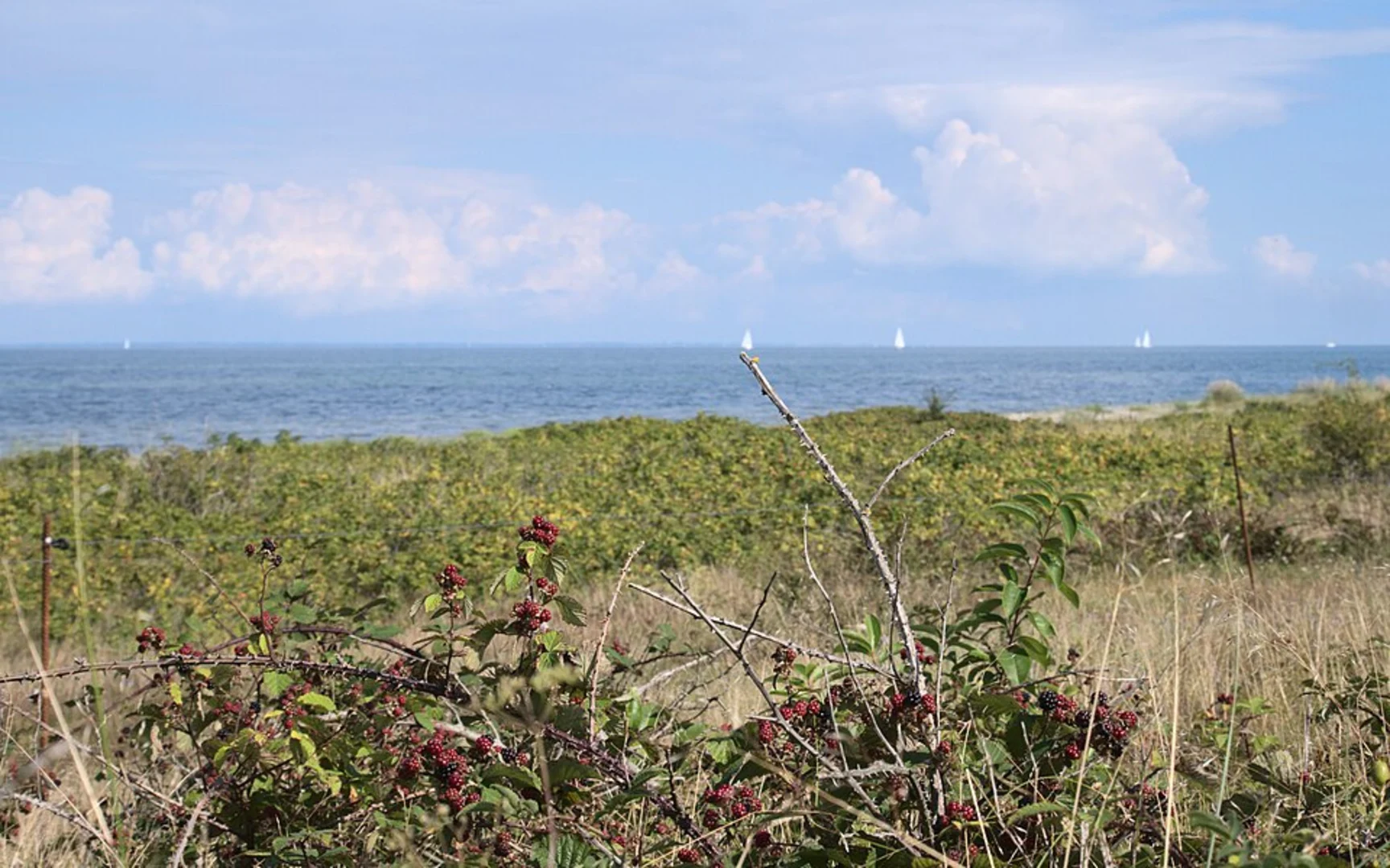 An image depicting the trail Birk-Nack and Meta Norgaardts Bruech via RinderWeg and its surrounding area.