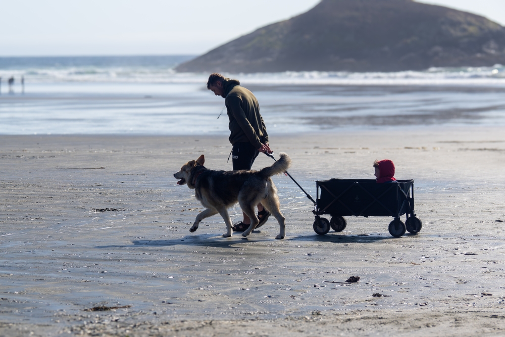 An image depicting the trail Pacific Rim National Park Reserve of Canada and its surrounding area.