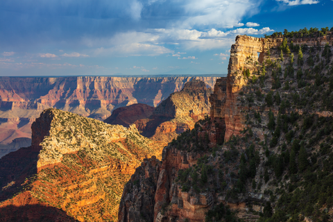 An image depicting the trail Walhalla Glades Trail and its surrounding area.