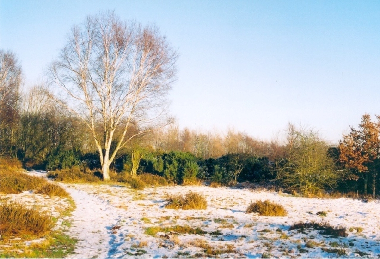 An image depicting the trail Messingham Sand Quarry Loop and its surrounding area.