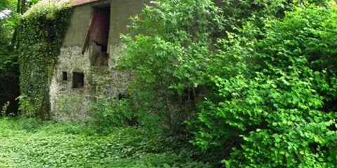 An image depicting the trail Gathabawn Short Loop and its surrounding area.