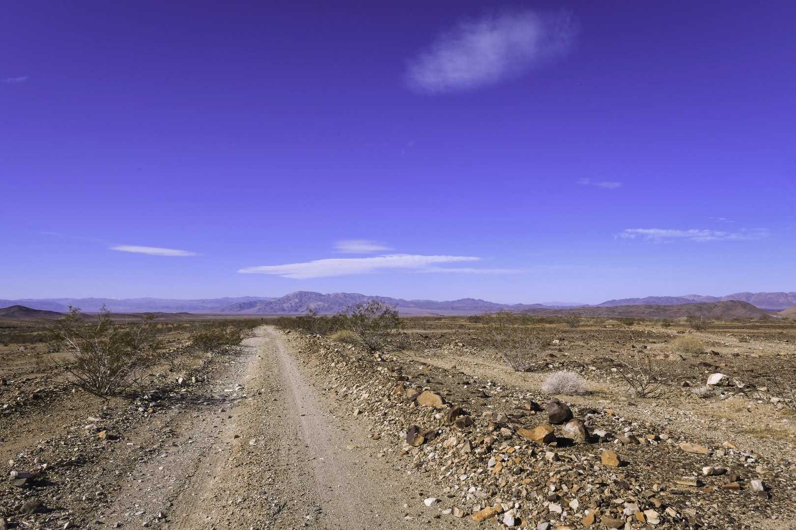 An image depicting the trail Black Eagle Mine Road and its surrounding area.