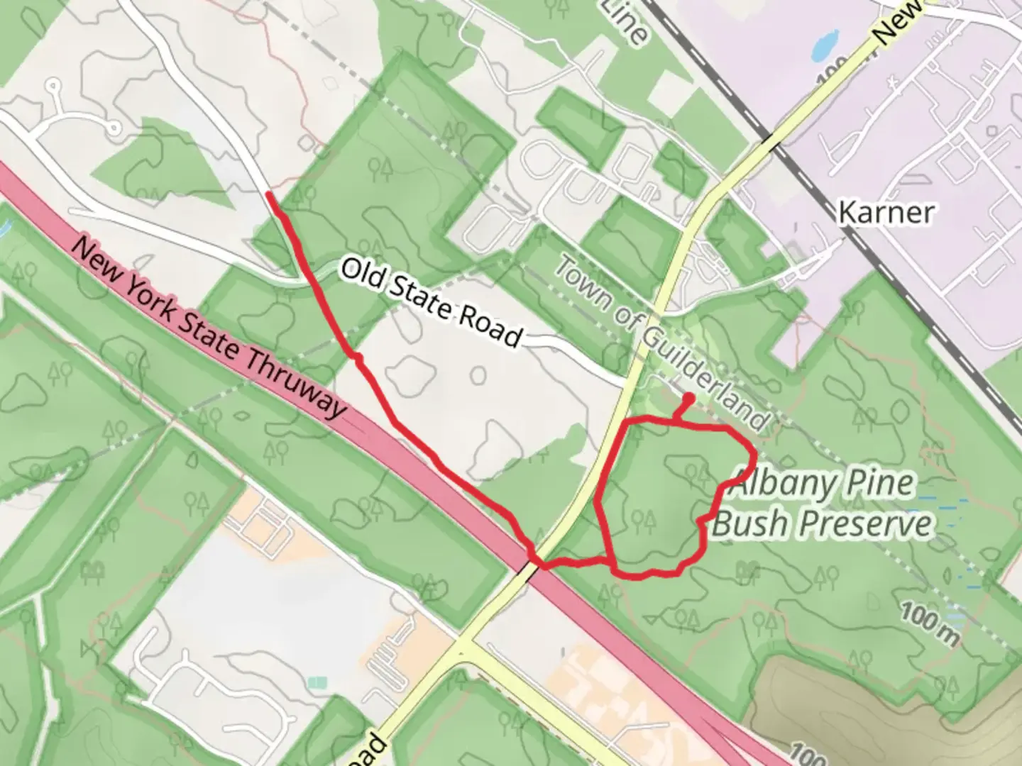 An image depicting the trail Albany Pine Bush Preserve Loop and its surrounding area.
