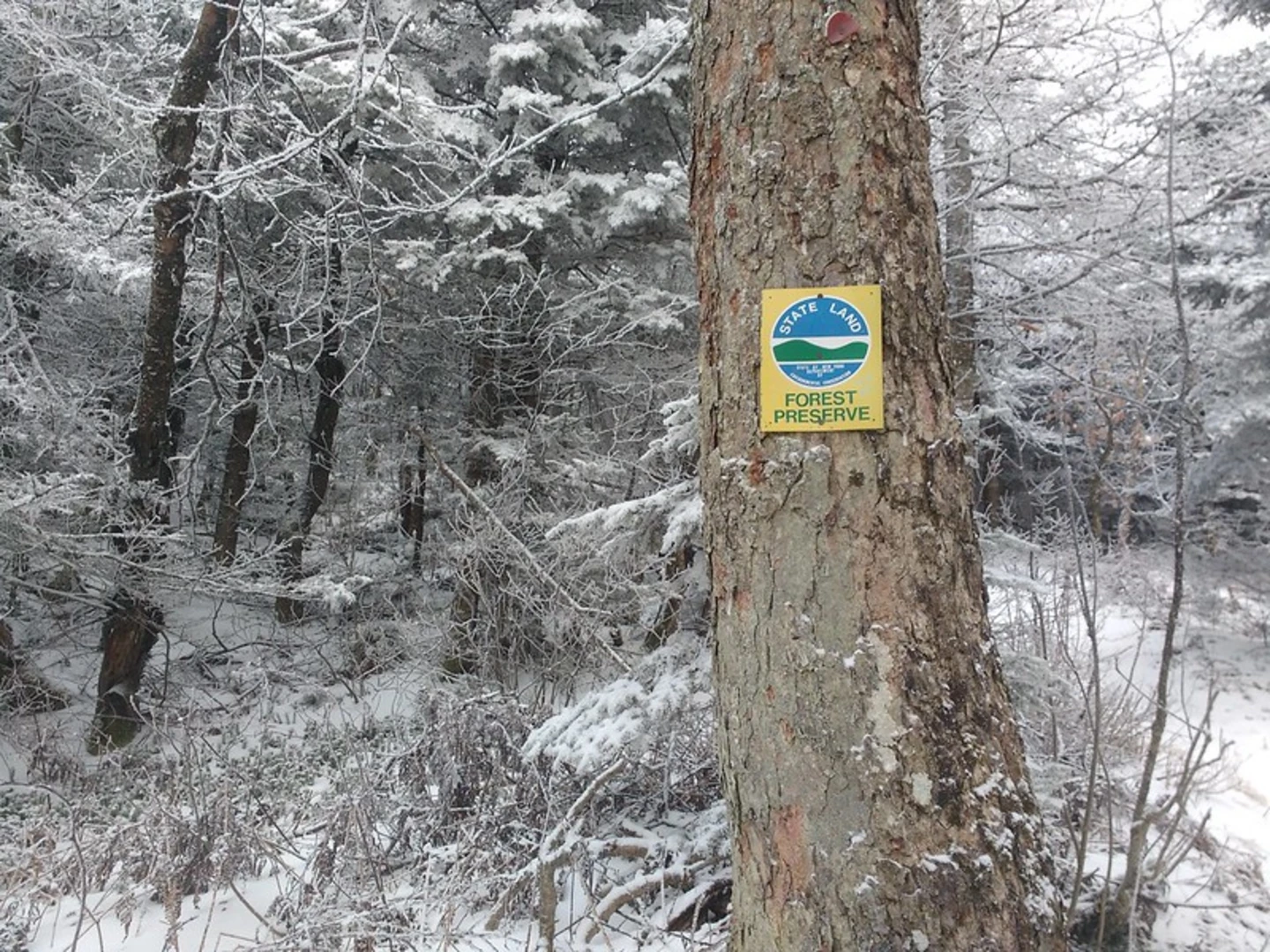 An image depicting the trail Thomas Cole Mountain via Black Dome Range Trail Out and Back and its surrounding area.