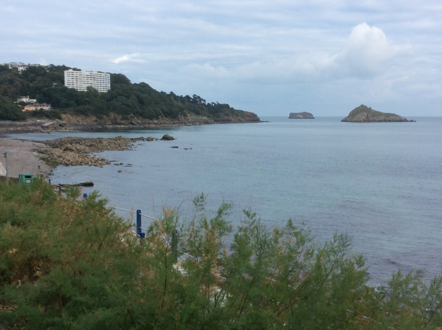 An image depicting the trail Bay Tor Park Hotel - Hidden Torquay Way and its surrounding area.