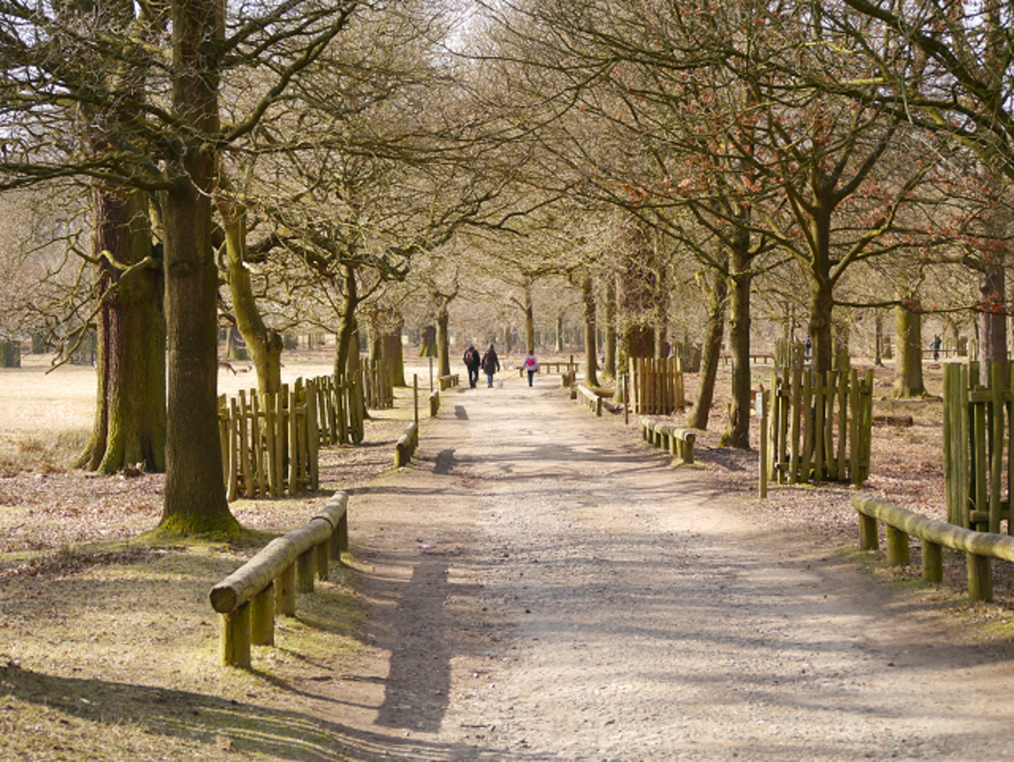 An image depicting the trail Dunham Massey Loop and its surrounding area.