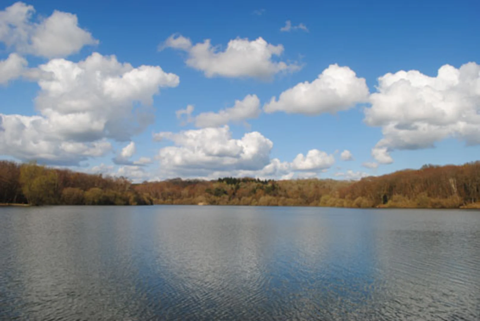 An image depicting the trail Powdermill Reservoir and Twist Wood Loop and its surrounding area.