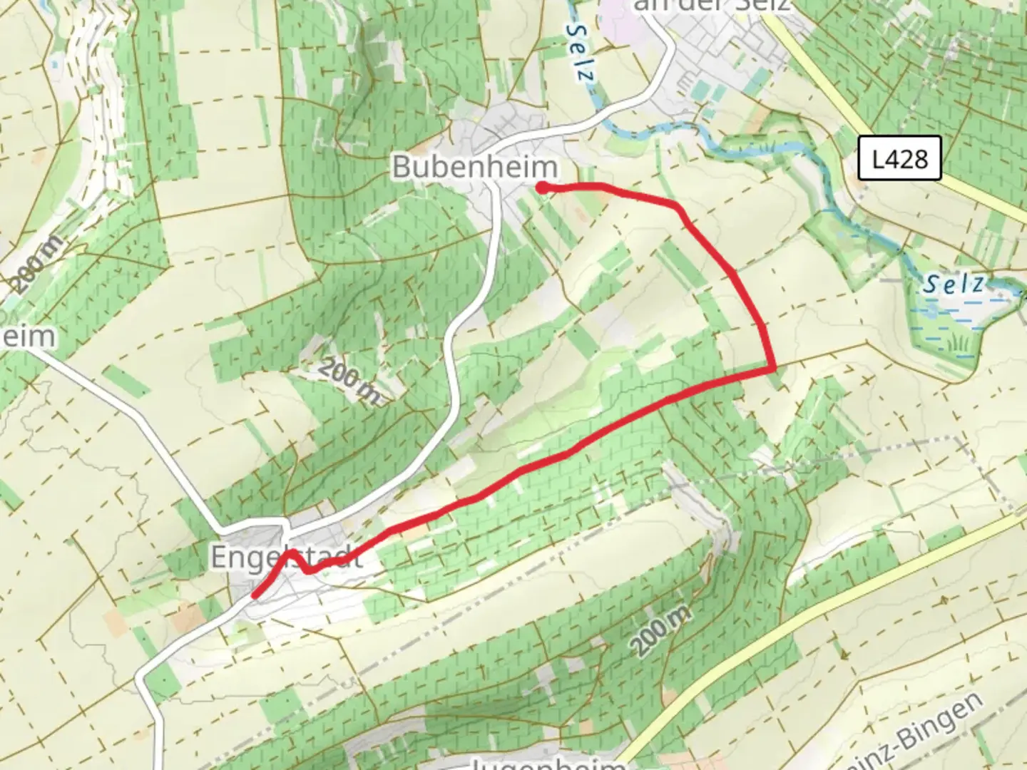 An image depicting the trail Bubenheim to Engelstadt via Bubenheim Selzwanderweg and its surrounding area.
