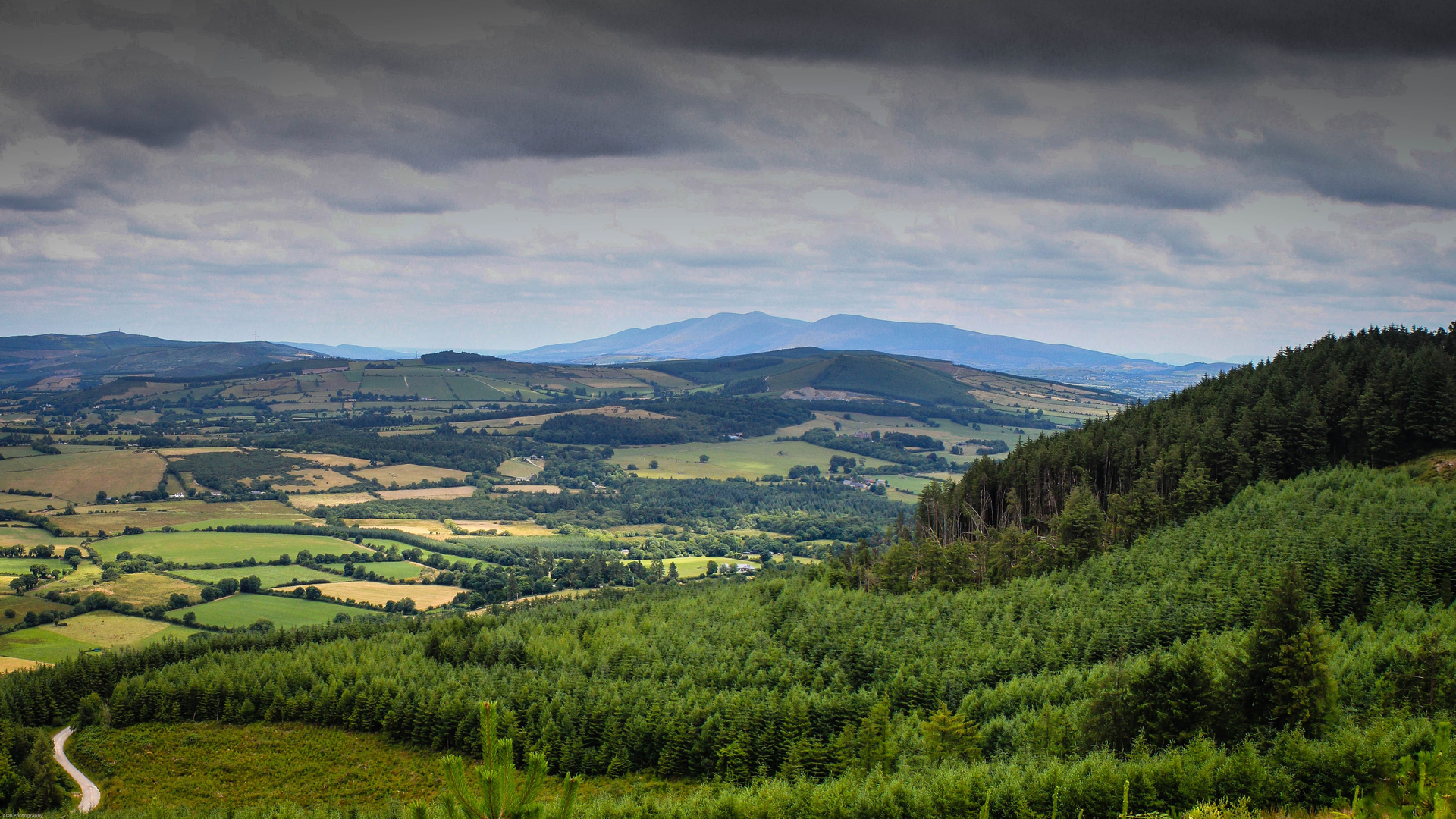 An image depicting the trail Ballyhoura - Canon Sheehan Loop and its surrounding area.
