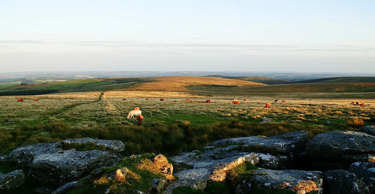 Ryder's Hill, Pupers Hill and Horne Ridge Loop