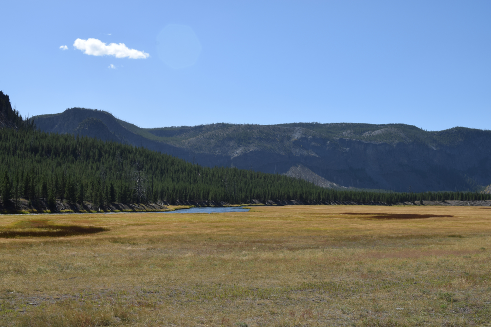 An image depicting the trail Buffalo Plateau via Hellroaring Creek Trail and its surrounding area.