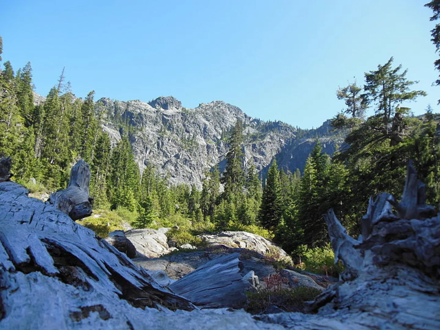 An image depicting the trail West Fork Clear Creek Trail and its surrounding area.