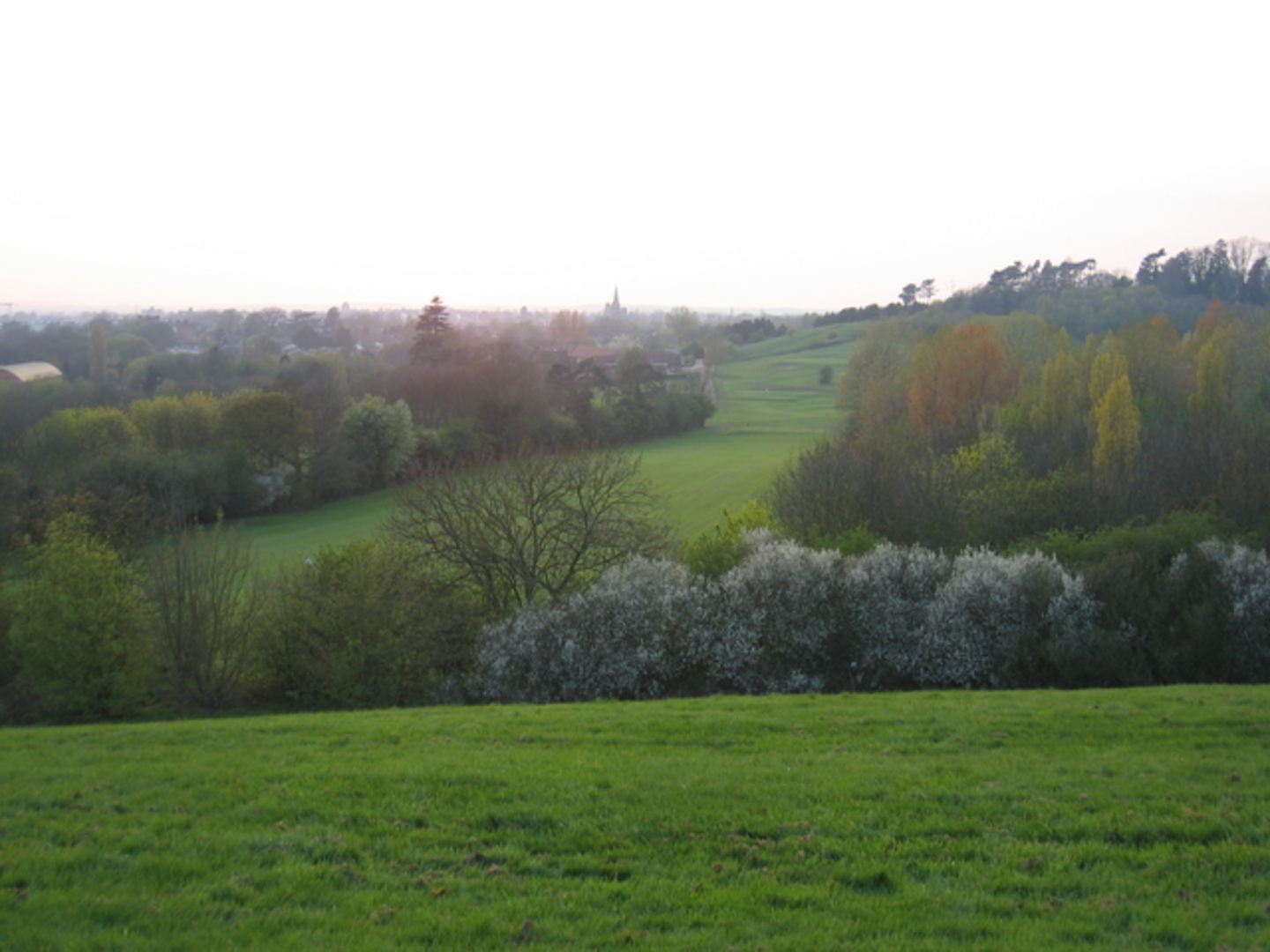 An image depicting the trail Newbold Comyn and its surrounding area.