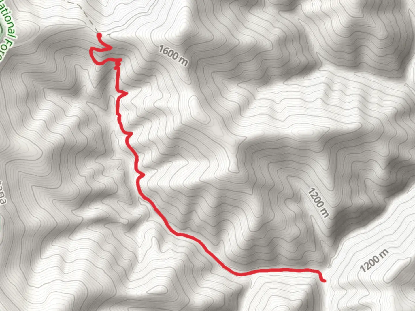 An image depicting the trail West Fork Trout Creek Trail and its surrounding area.