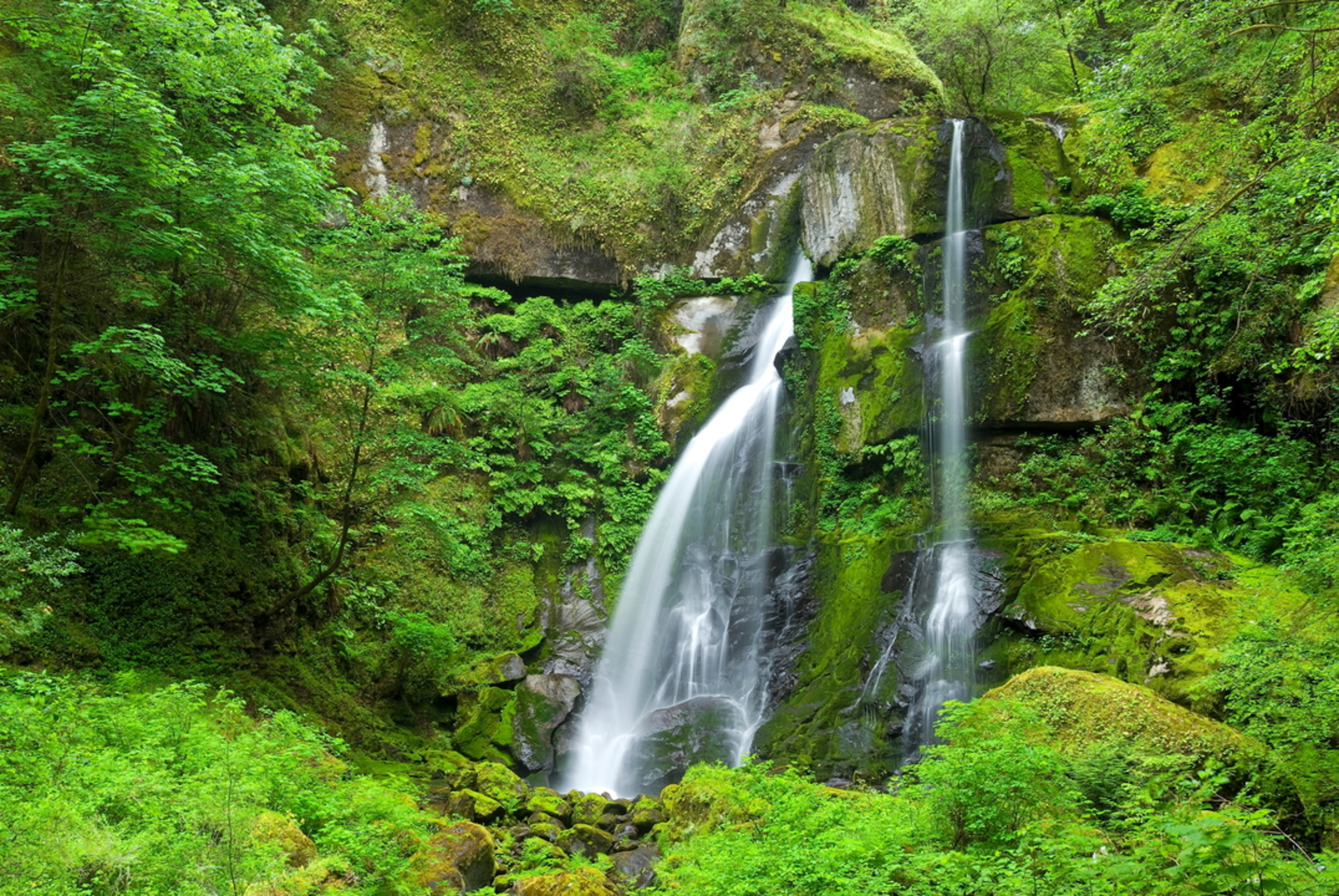 An image depicting the trail Elk Creek Falls Trail and its surrounding area.
