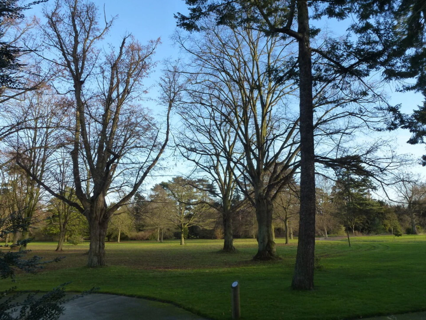 An image depicting the trail Sandringham Country Park and its surrounding area.