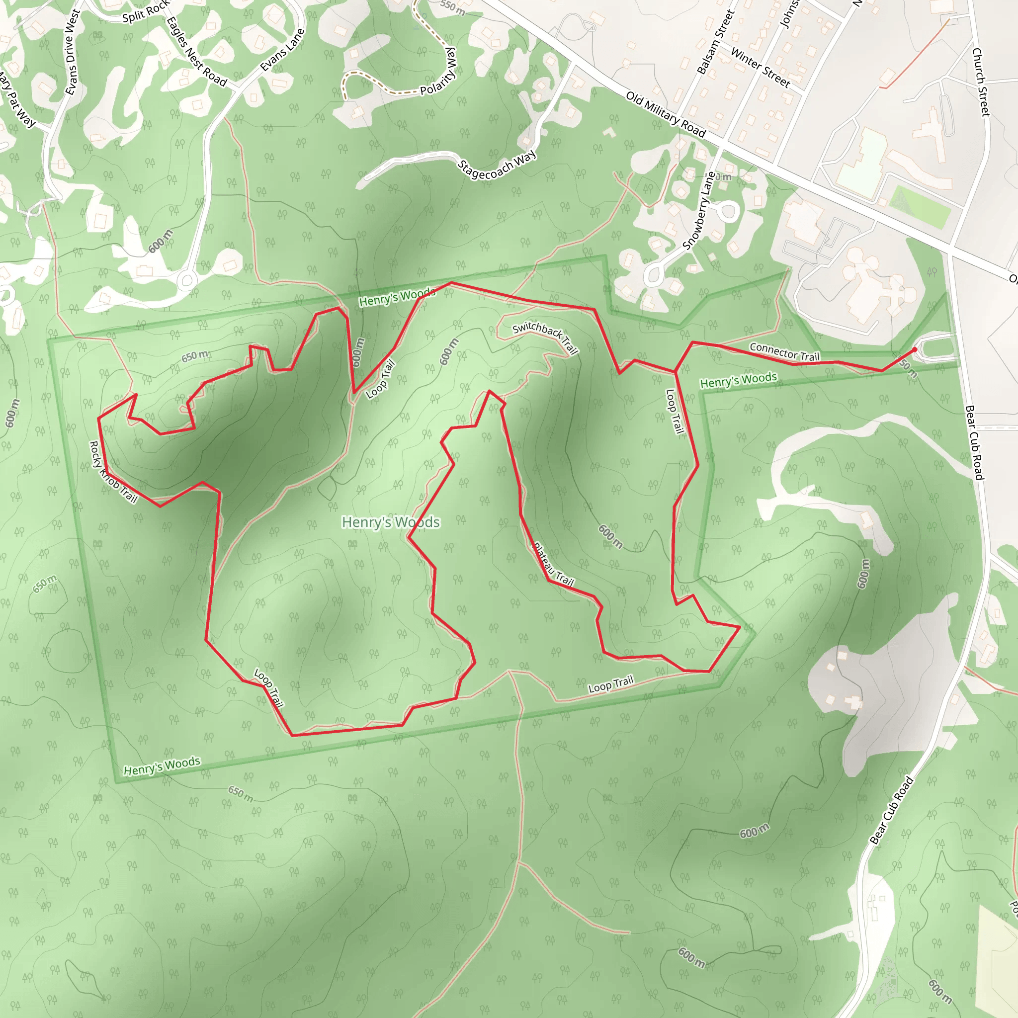 Henry's Woods Loop from Bear Cub Road mobile static map