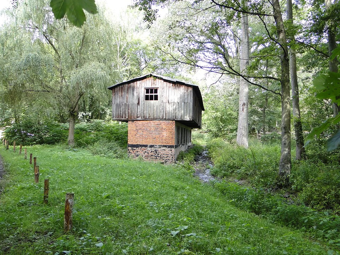 An image depicting the trail Ilz via Ilztalwanderweg and its surrounding area.