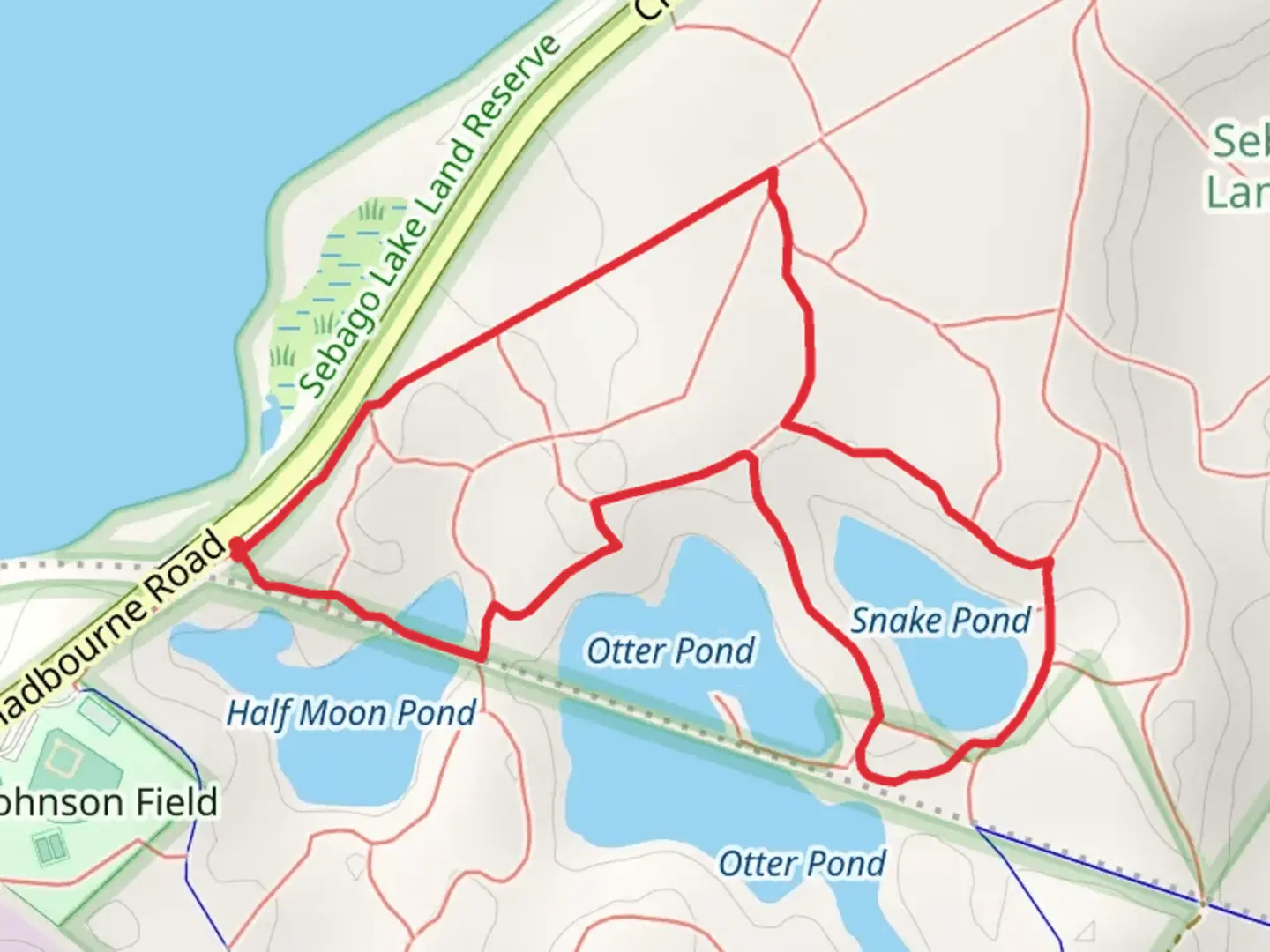 An image depicting the trail Snake Pond Loop via Otter Pond and its surrounding area.
