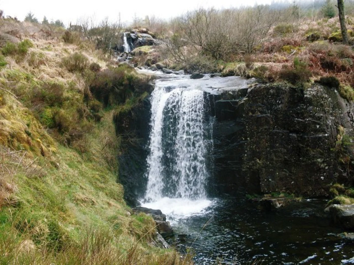 An image depicting the trail Coed Graigddu and its surrounding area.