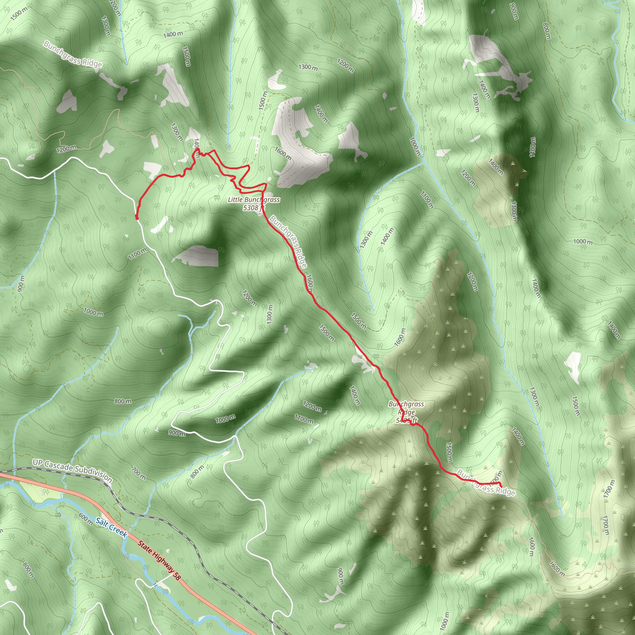 Bunchgrass Ridge via Eugene to Crest Trail mobile static map