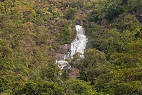 Surprise Creek Track