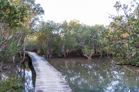 Waitangi to Haruru Falls Trail