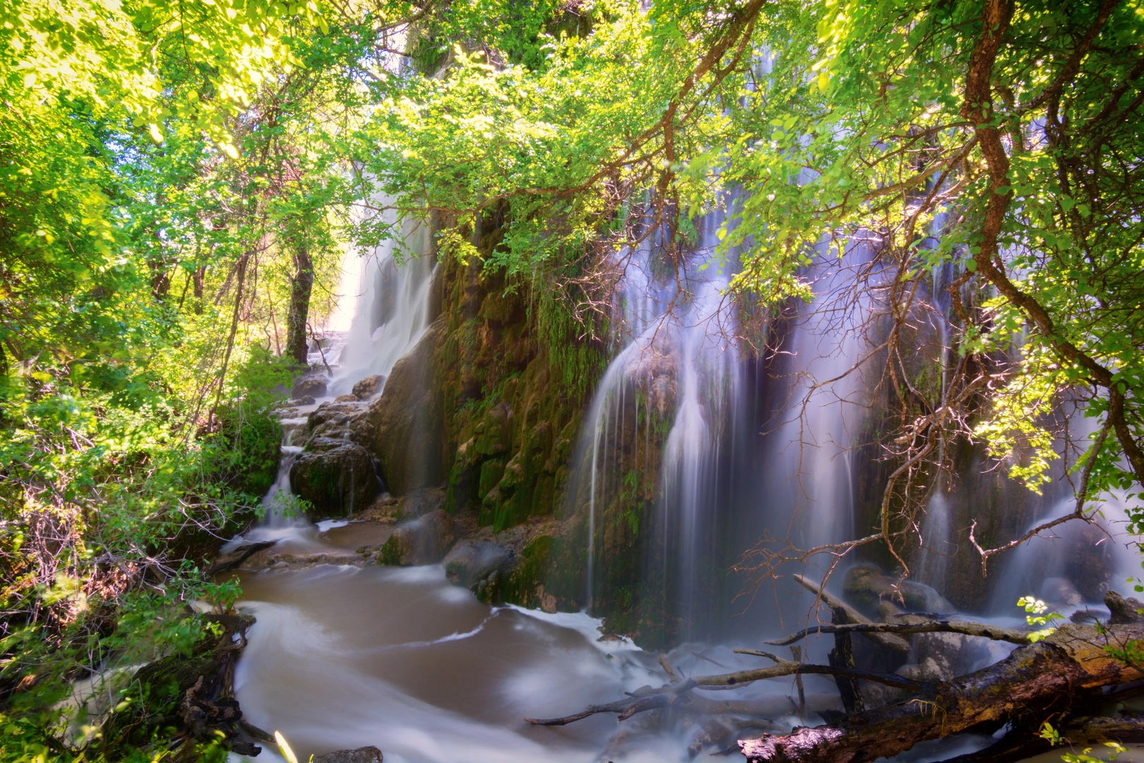 An image depicting the trail Colorado Bend State Park Loop and its surrounding area.