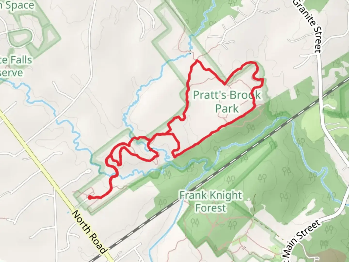 An image depicting the trail Pratt's Brook Loop and its surrounding area.