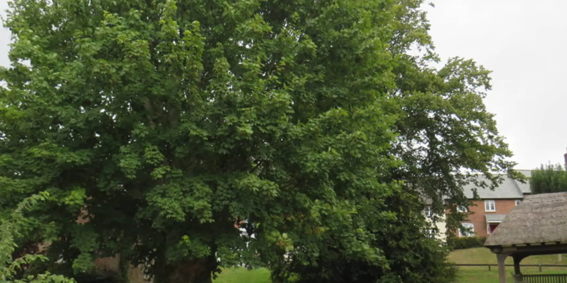 An image depicting the trail Southover Heath from Tolpuddle and its surrounding area.
