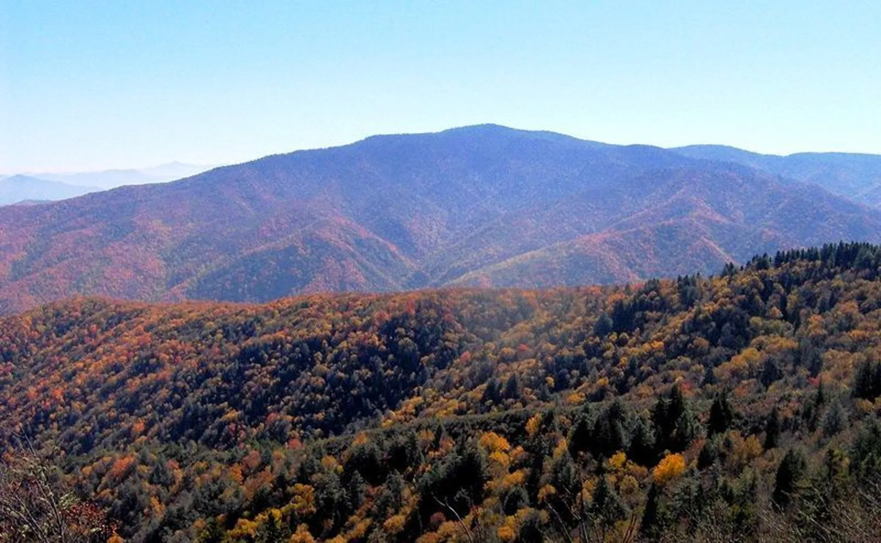 An image depicting the trail Little Cataloochee, Long Bunk and Mount Sterling Loop Trail and its surrounding area.