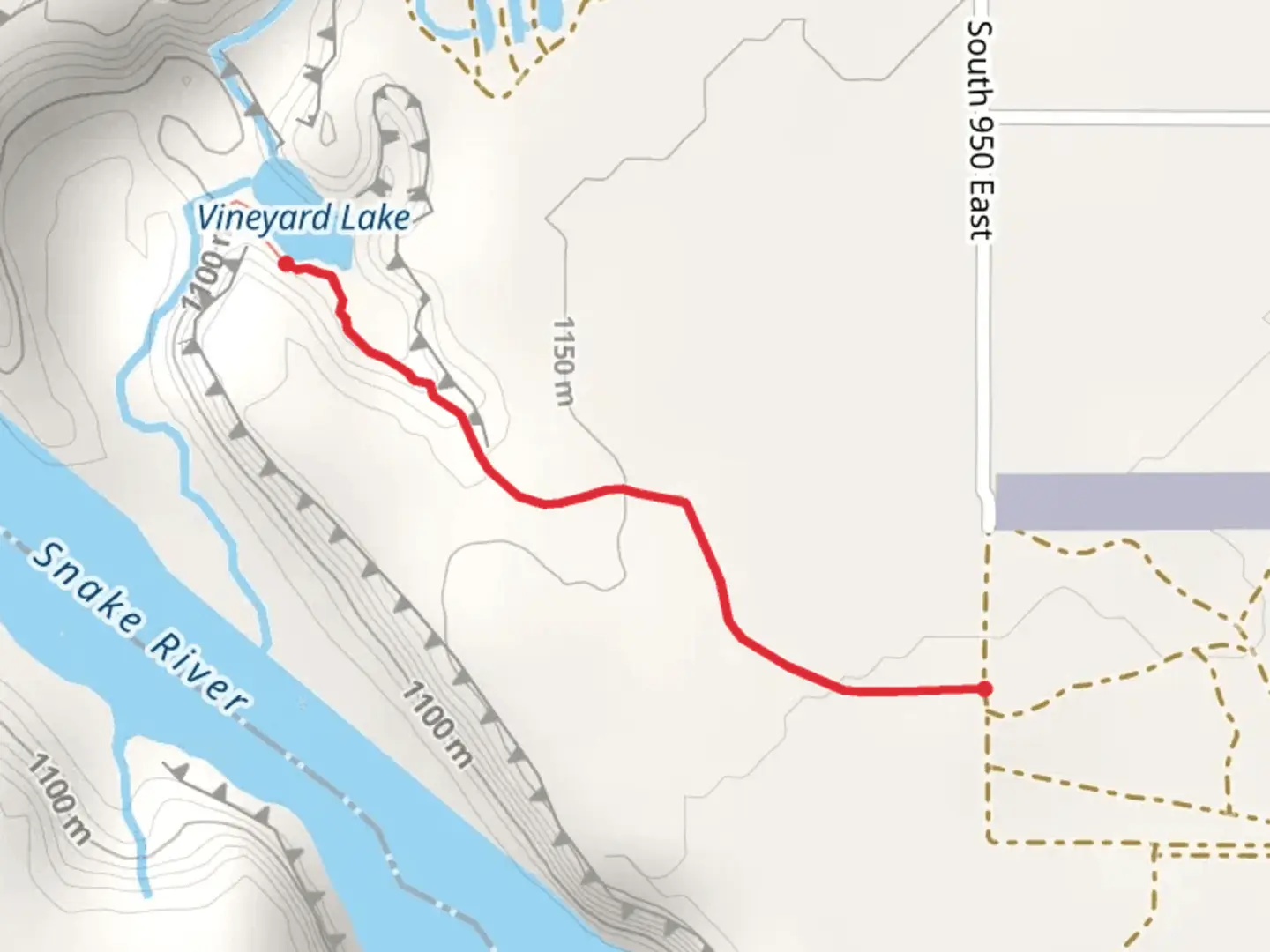 An image depicting the trail Vineyard Lake and its surrounding area.