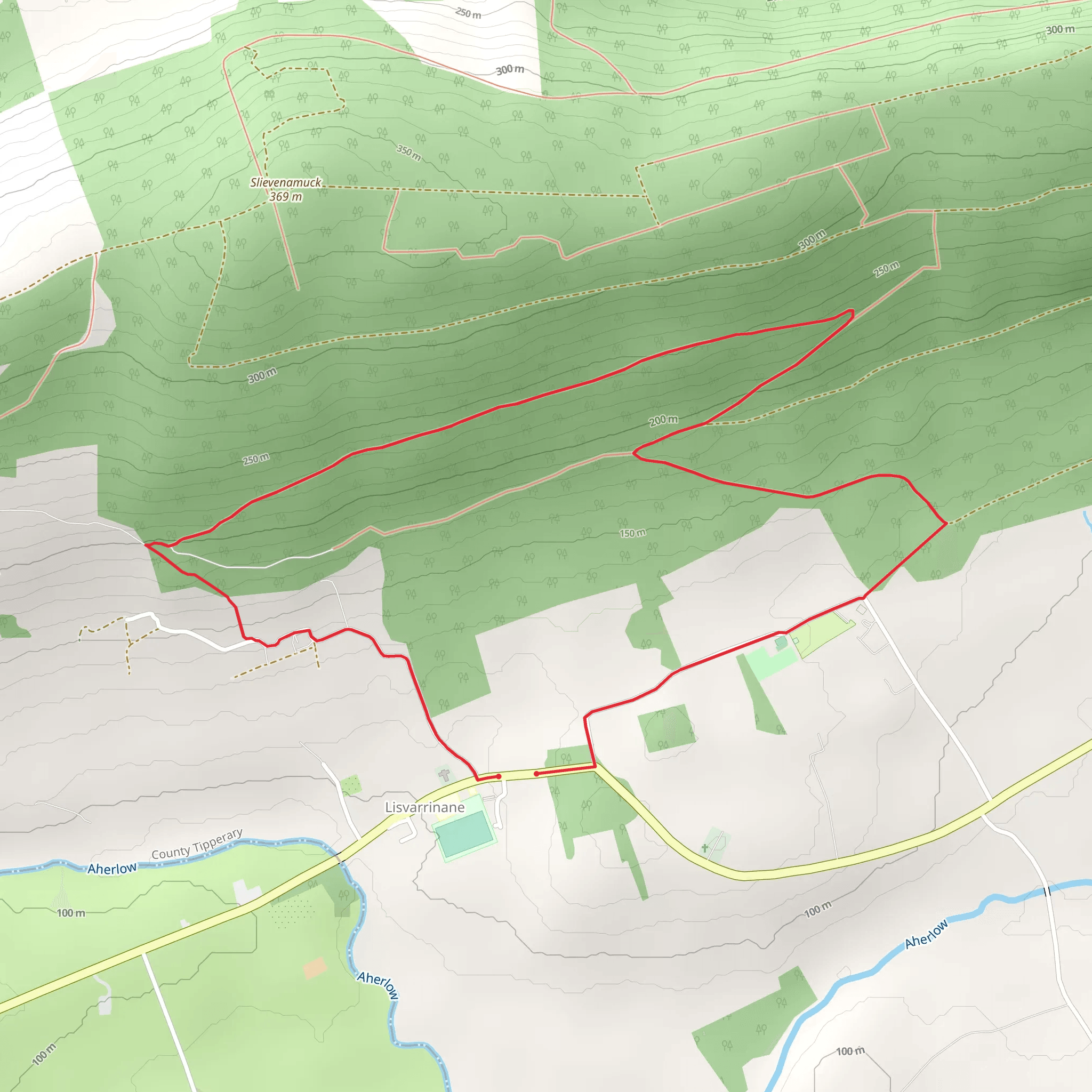 Lisvarrinane - Padraigs Loop mobile static map