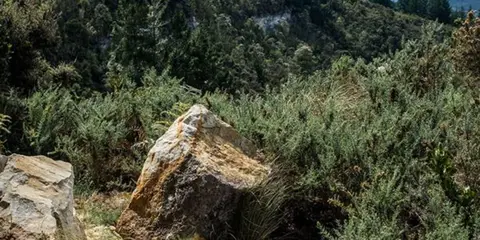 An image depicting the trail Chalkies Track and its surrounding area.