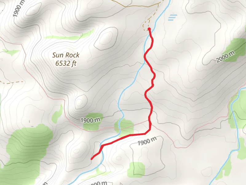 Bassi Trail Out and Back