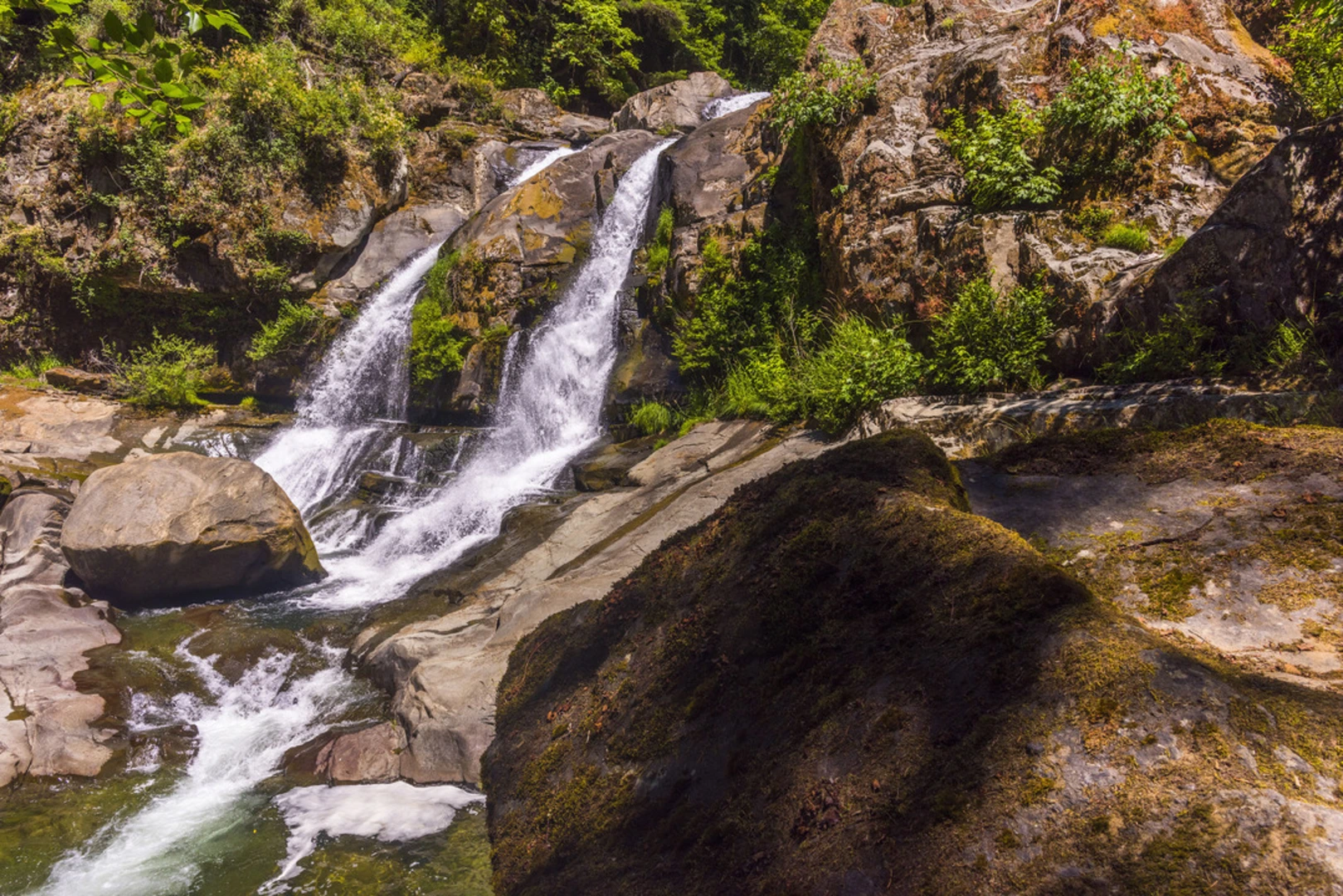 An image depicting the trail Coquille River Falls Trail and its surrounding area.