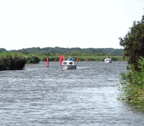 An image depicting the trail River Thurne via Weaver Way Loop and its surrounding area.