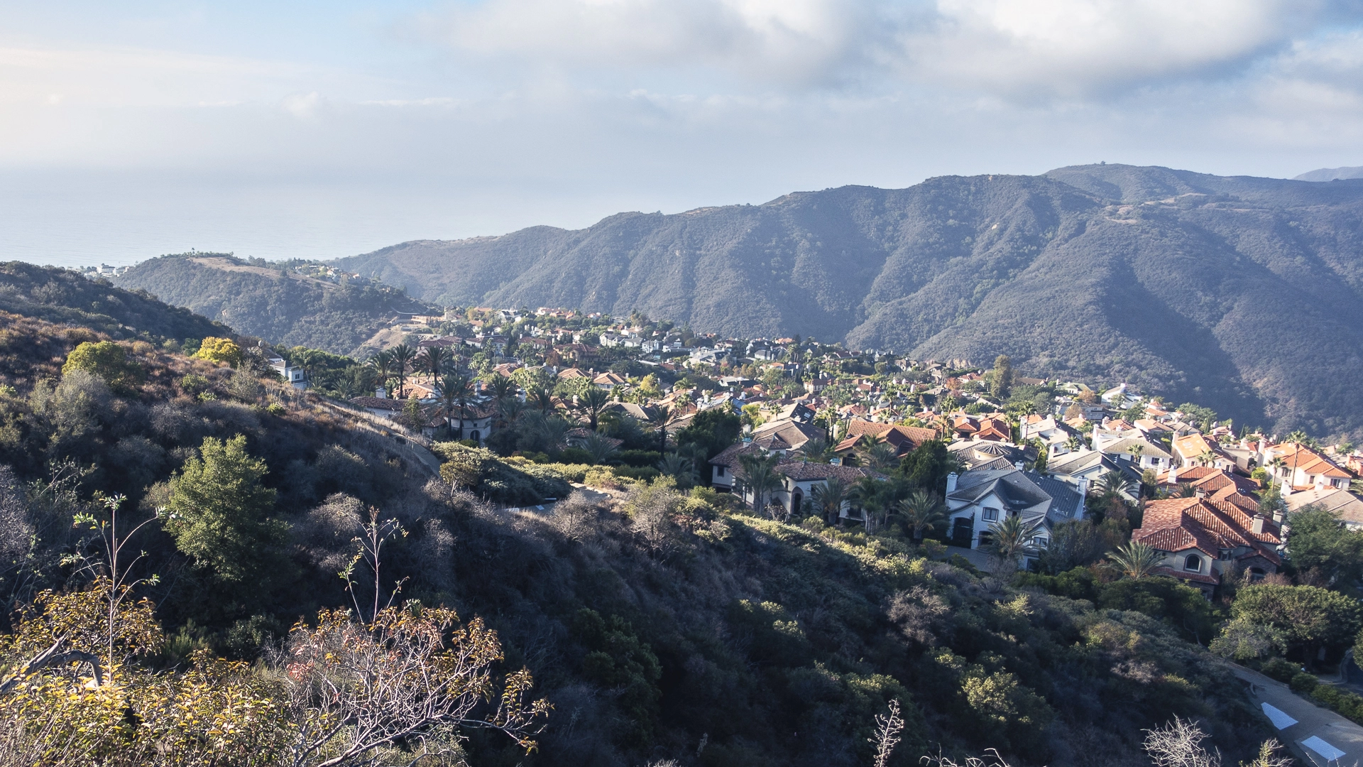 An image depicting the trail Temescal Ridge Trail via Split Rock Fire Road and its surrounding area.